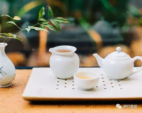 弘泰金融外包服務面試會 把握機遇，在金融外包服務領域揚帆起航
